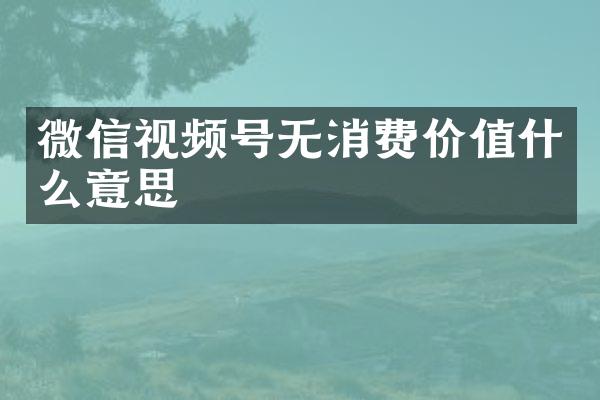 微信视频号无消费价值什么意思