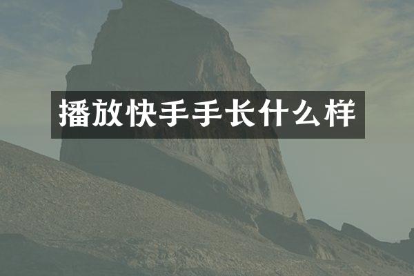 播放快手手长什么样