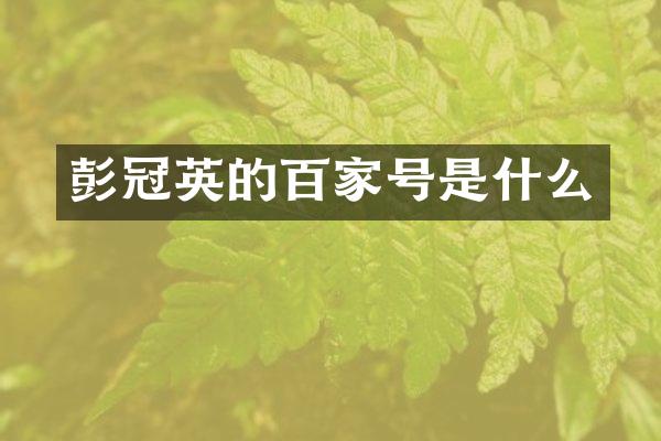 彭冠英的百家号是什么