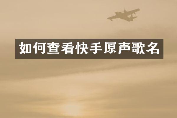 如何查看快手原声歌名