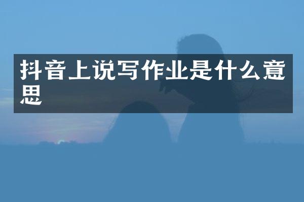 抖音上说写作业是什么意思