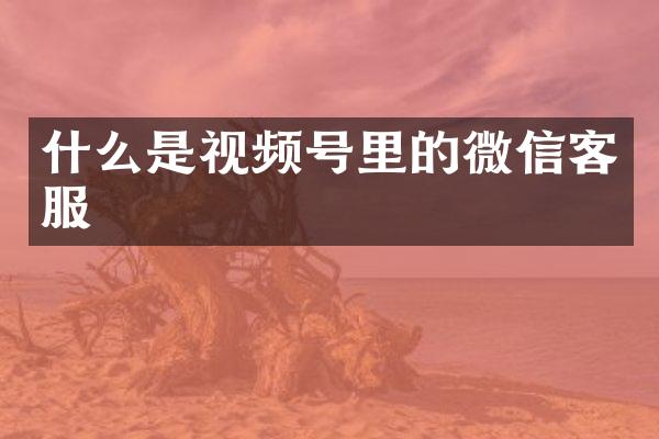 什么是视频号里的微信客服