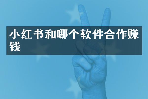小红书和哪个软件合作赚钱
