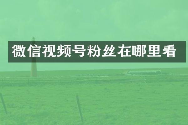 微信视频号粉丝在哪里看
