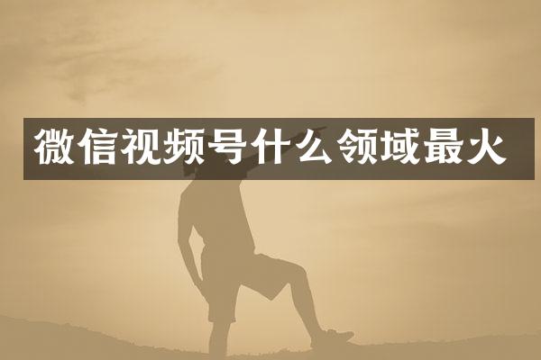 微信视频号什么领域最火