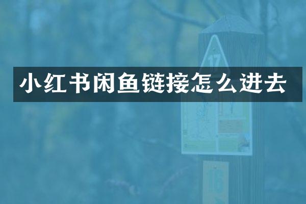 小红书闲鱼链接怎么进去