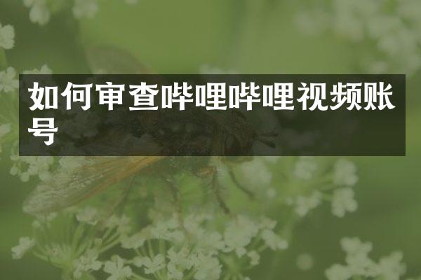 如何审查哔哩哔哩视频账号