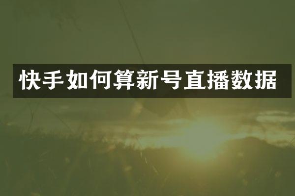 快手如何算新号直播数据