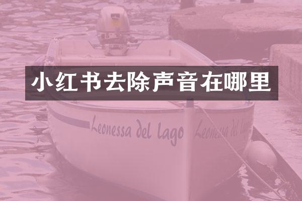 小红书去除声音在哪里