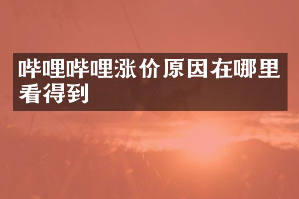 哔哩哔哩涨价原因在哪里看得到