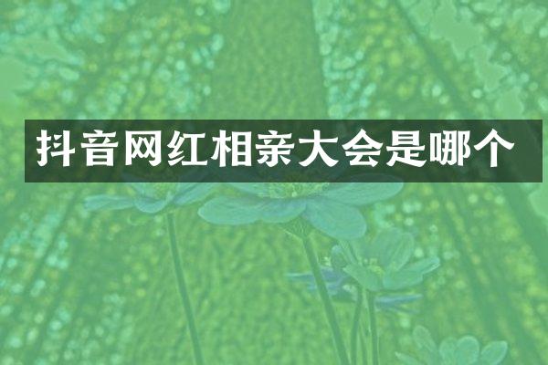 抖音网红相亲大会是哪个