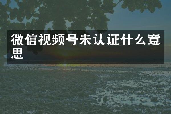 微信视频号未认证什么意思