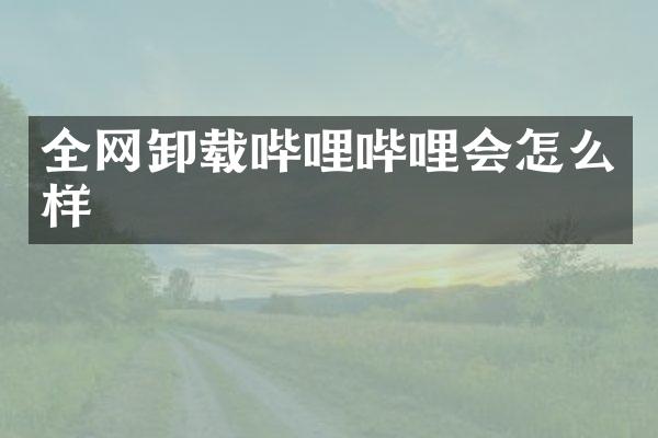 全网卸载哔哩哔哩会怎么样