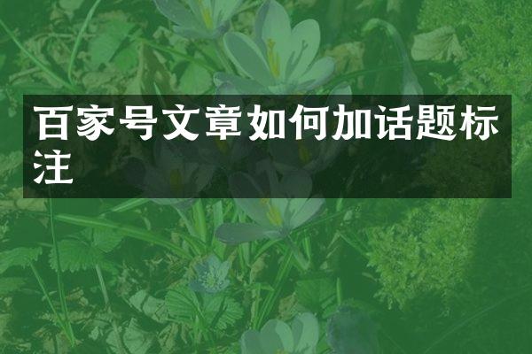 百家号文章如何加话题标注