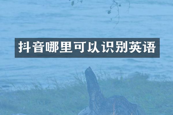 抖音哪里可以识别英语