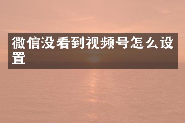微信没看到视频号怎么设置