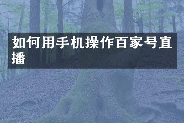 如何用手机操作百家号直播