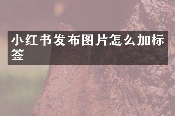 小红书发布图片怎么加标签
