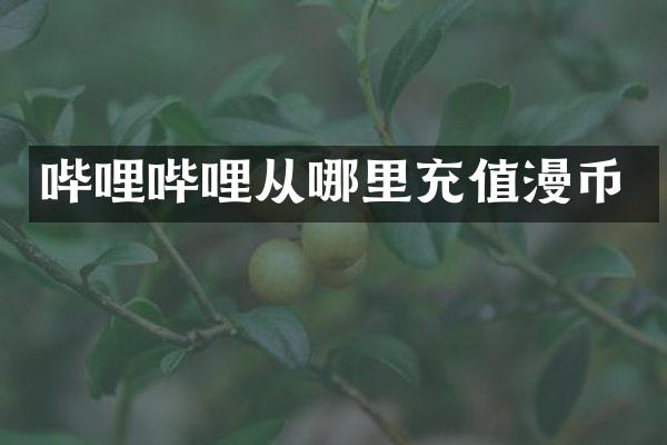 哔哩哔哩从哪里充值漫币