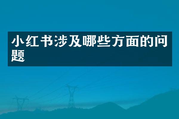 小红书涉及哪些方面的问题