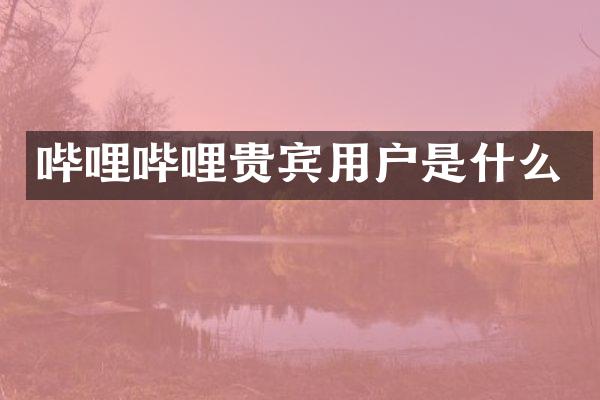 哔哩哔哩贵宾用户是什么