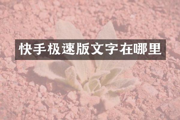 快手极速版文字在哪里