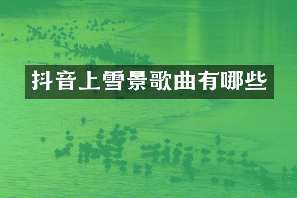 抖音上雪景歌曲有哪些
