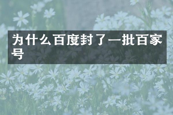 为什么百度封了一批百家号