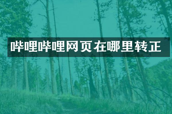 哔哩哔哩网页在哪里转正
