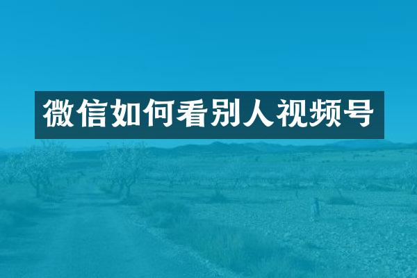 微信如何看别人视频号