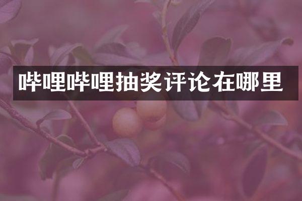 哔哩哔哩抽奖评论在哪里