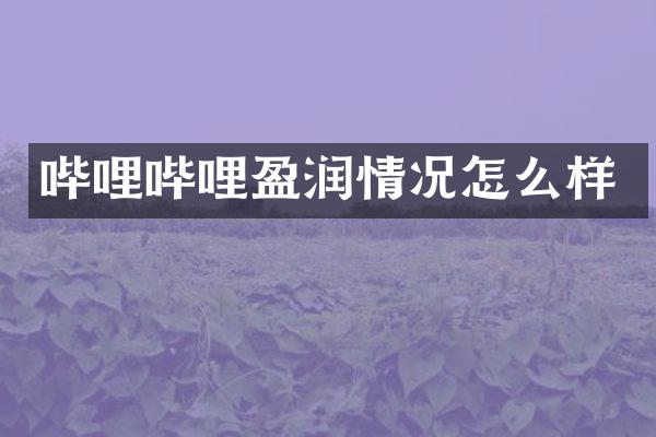 哔哩哔哩盈润情况怎么样