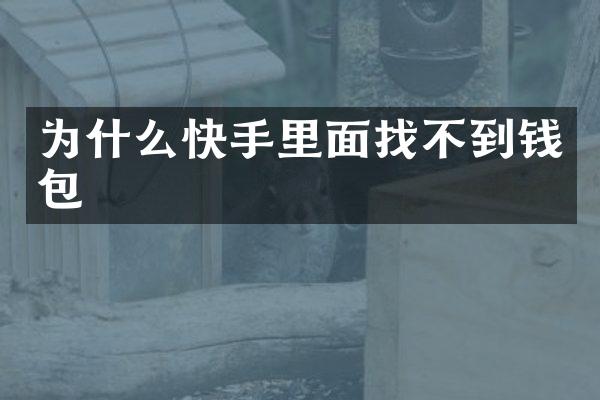 为什么快手里面找不到钱包