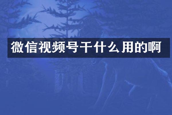 微信视频号干什么用的啊