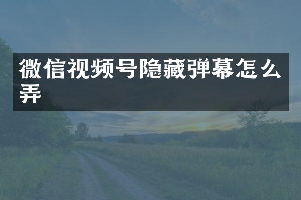 微信视频号隐藏弹幕怎么弄