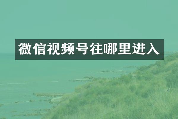 微信视频号往哪里进入