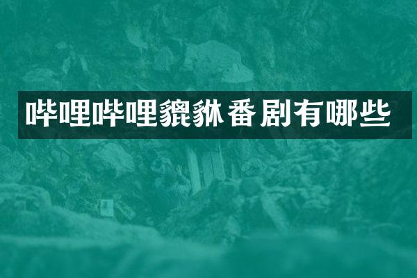 哔哩哔哩貔貅番剧有哪些