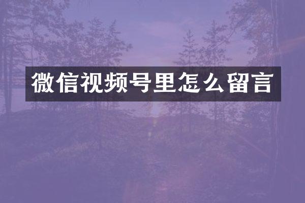 微信视频号里怎么留言