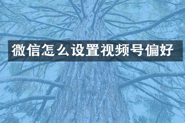 微信怎么设置视频号偏好