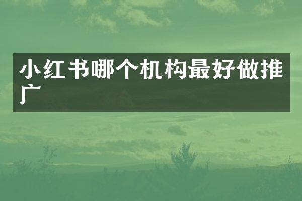 小红书哪个机构最好做推广