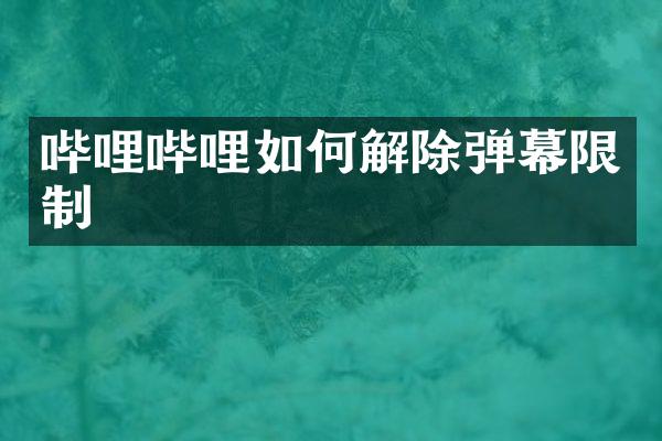 哔哩哔哩如何解除弹幕限制