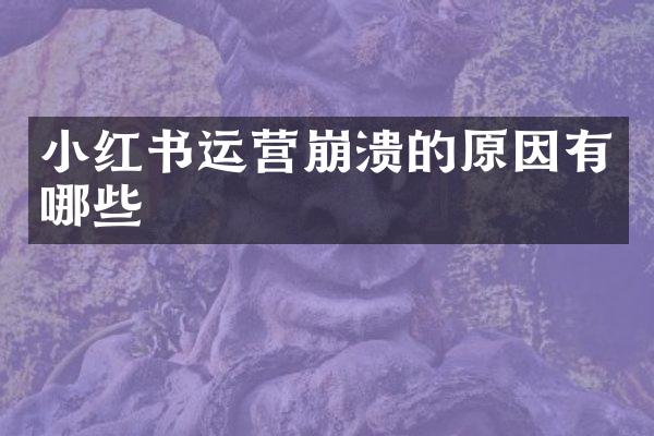 小红书运营崩溃的原因有哪些