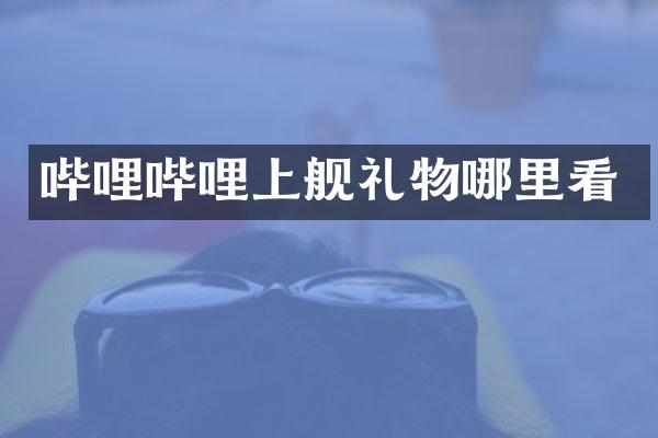 哔哩哔哩上舰礼物哪里看