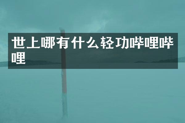 世上哪有什么轻功哔哩哔哩