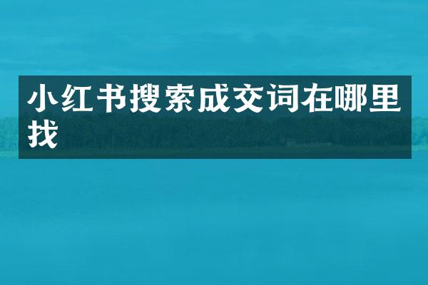 小红书搜索成交词在哪里找