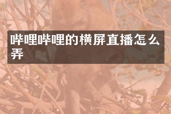 哔哩哔哩的横屏直播怎么弄