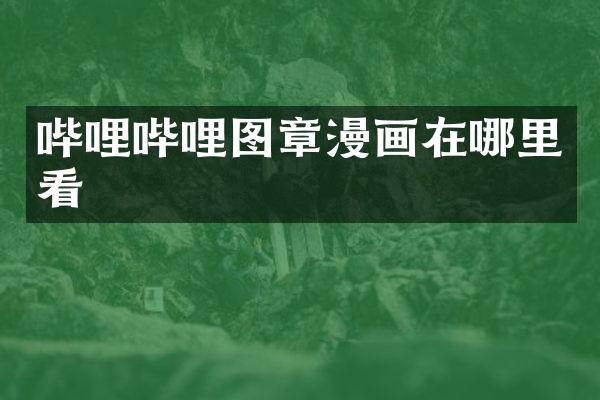 哔哩哔哩图章漫画在哪里看