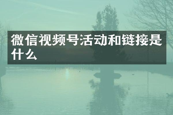 微信视频号活动和链接是什么