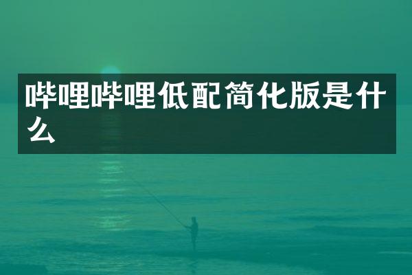 哔哩哔哩低配简化版是什么