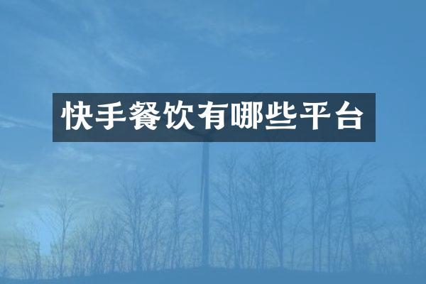 快手餐饮有哪些平台